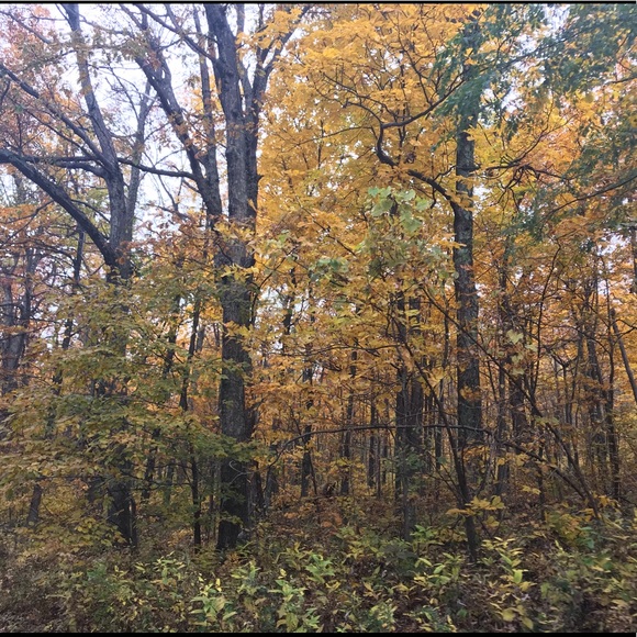 Meet your Posher, Leanna - Picture 1 of 1